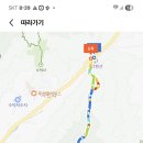 홍동산 티스토리