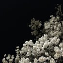 (주)피디엑스 이미지