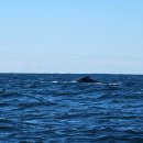 주식회사 월드가스 | 호주 시드니 8월 9월 여행 - 날씨 / 옷차림 / 포트스테판 투어 할인 팁