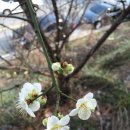 용곡약수터 이미지