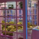 인형뽑기방 게임랜드 이미지