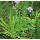 성남시립식물원 이미지