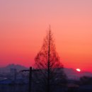 자유로셀프주유소 이미지