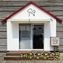 제주댕댕스푼 이미지