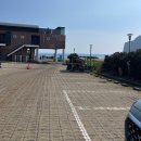 그늘막37 | 제주 성산 베이커리 카페 추천 해일리카페 애견동반 후기