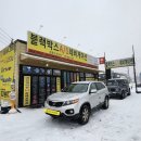 셀스타
