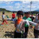 대지초등학교 이미지