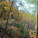 고대산자연휴양림 이미지