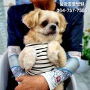 표선동물병원 이미지