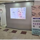 눈썹쟁이 이미지