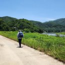 물안개피는 들꽃나루 이미지