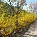 기세곡천 이미지