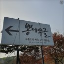 뽕나무골 이미지