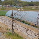 둔덕농장3 이미지