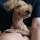 땡구야놀자 이미지