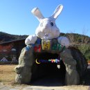 산토끼 이미지