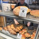 라벤더데이민박 | 이틀간 카페에서 일기쓰고 커피마시는 기간제 파리지앵👨‍🎨🥖