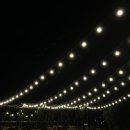 2022 어쿠스틱 루프탑 콘서트 네이버블로그