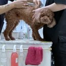 2월의 이모저모.