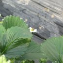 참농꾼 이미지