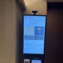 호텔 인스타 | 내돈내산 부산 서면 숙소 추천 모과호텔 404호 패밀리룸 숙박 후기 (인스타 갬성 숙소)