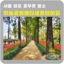 중앙로 메타세콰이아길 이미지