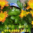 덕용한의원 이미지