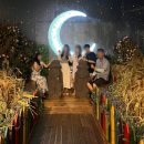 수목원테마파크 | 제주도실내관광 제주수목원테마파크 할인 내돈내산 상세후기
