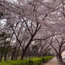 사덕상리 이미지