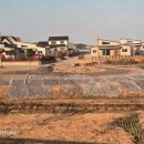 장항 무료경로식당 | 석문산악회 2025.11월 산행지. 장항 송림휴양림. 군산수산시장. 11.22.