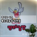 사리농장 | 이천오리고기 맛집 오리주물럭 팽오리농장 이천점 후기