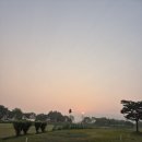 파크골프장1 이미지