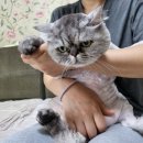 공주미용 - 의성군 고운길 14 | 공주미용
