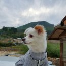 남해관광펜션 이미지