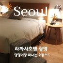 [라까사 호텔 광명] 반려견동반 호캉스, 펫 스탠다드 더블룸 후기