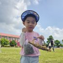 소현에너지 이미지