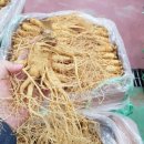 금산수삼시장(주) 이미지