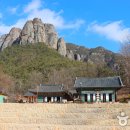 경상북도 청송군청 이미지