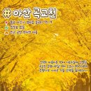 은행나무길 대여소 이미지