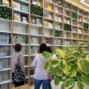 거북섬작은도서관 이미지