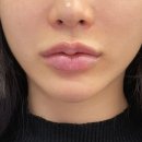 데일리즈의원 이미지