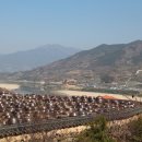 화개농원 이미지