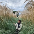 아늑호텔 세종B 이미지