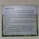 창포부산밀면 이미지