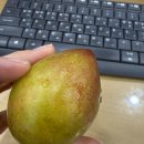 회시농장 이미지