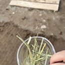 예손정형외과의원 이미지