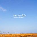 건지목장 이미지