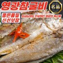 영광 이미지