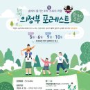 포레스트숲 이미지