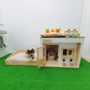 모던켄넬 이미지